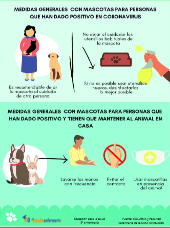 coronavirus y animales 3