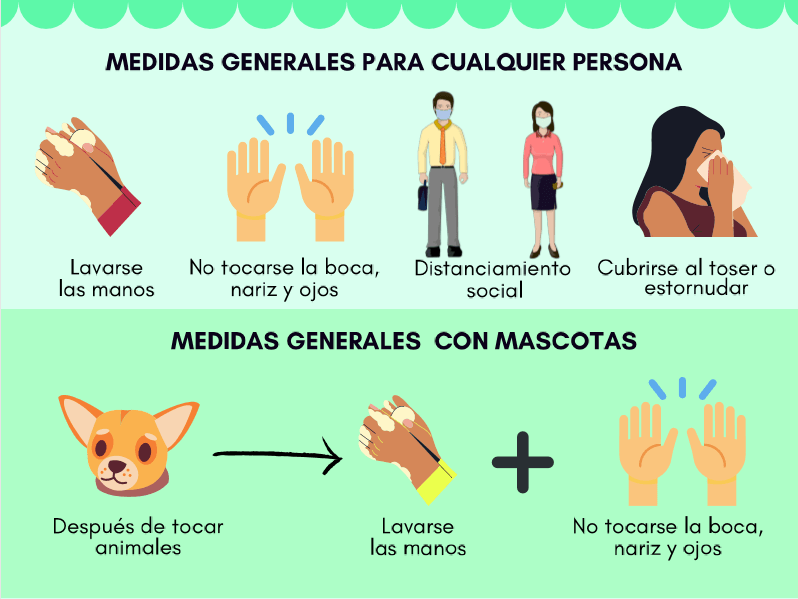 coronavirus y animales2